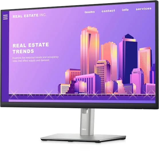 Màn Hình Dell P2422H (23.8 inch / FHD / IPS / 60Hz / 5ms / 99% sRGB)