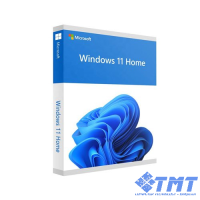 Phần mềm Microsoft Windows Pro 11 64Bit Eng Intl 1pk